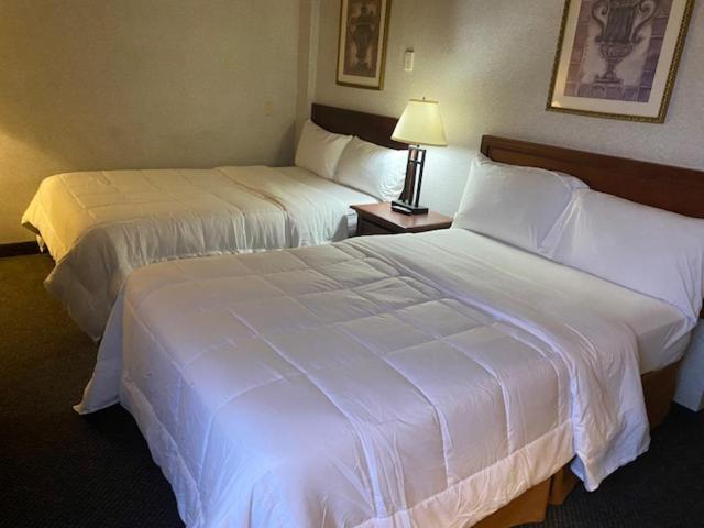 Double Room with Two Double Beds interior
